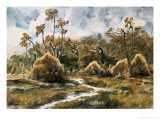 Spring Creek Giclee Print by Wanqi Zhang