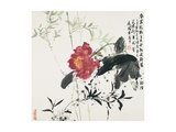 Flower in Spring Rain Giclee Print by Wanqi Zhang