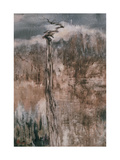 Tree's Spirit and the Reflection Giclée-Druck von Wanqi Zhang