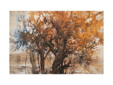 Autumn River Giclée-Druck von Wanqi Zhang