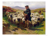 The Highland Shepherd, 1859 Giclee Print by Rosa Bonheur