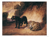 Two Jaguars from Peru Giclee Print by Antoine-Louis Barye