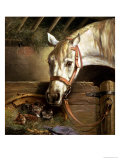 Horse and Kittens, 1890 Giclee Print by Moritz Muller