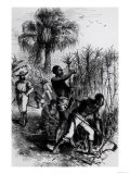 Slaves Working on a Plantation, from Cassell's "History of the United States" Giclee Print