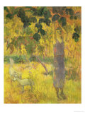 Man Picking Fruit from a Tree, 1897 Giclee Print by Paul Gauguin