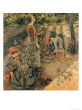 The Apple Pickers, 1886 Reproduction procédé giclée par Camille Pissarro