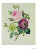 Rose, Anemone and Clematide Reproduction procédé giclée par Pierre-Joseph Redouté