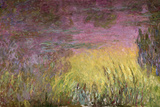 Waterlilies at Sunset, 1915-26 Reproduction procédé giclée par Claude Monet