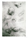 Studies for the Figure of Bramante (1444-1515) Giclee Print by Raphael 