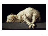 Agnus Dei, circa 1635-40 reproduction procédé giclée par Francisco de Zurbarán