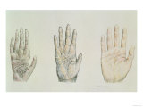 Hands of a Primate and a Human Reproduction procédé giclée