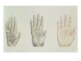 Hands of a primate and a human Giclee Print