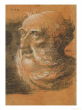 Head Study, 1522 reproduction procédé giclée par Wolf Huber