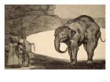 Folly of Beasts, from the Follies Series, or Other Laws for the People, circa 1815-24 Giclee Print by Francisco de Goya