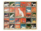 The Properties of Beasts: the Mammals, from The Properties of Beasts: the Mammals, from