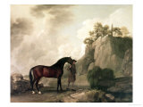 "Cato" and Groom Reproduction procédé giclée par George Stubbs