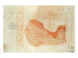 Codex Madrid 1/57-R Study for a Sculpture of a Horse reproduction procédé giclée par Leonardo da Vinci 