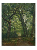 Path in the Forest, 1864 Giclee Print by Henri Joseph Constant Dutilleux
