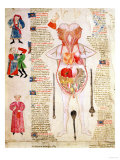 Anatomical Diagram, from "De Arte Phisicali E De Cirurgia" by John Arderne, 1412 Giclee Print