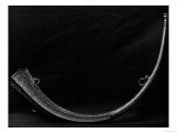 Hunting Horn Belonging to Francois I (1494-1547) Giclee Print Hunting Horn Belonging to Francois I (1494-1547) Giclee Print