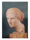 The Kauffmann Head, Head of Aphrodite, Copy of the Aphrodite of Cnidus by Praxiteles (Fl.375-40 BC) Giclee Print by Praxiteles 