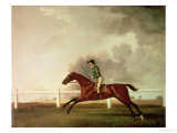 Bay Malton with John Singleton Up, circa 1767 Giclee Print by George Stubbs