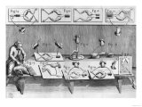 Experiment on Frogs, Illustration from Experiment on Frogs, Illustration from