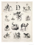 Letter D from an Alphabet Primer, 1832 Giclee Print by Victor Jean Adam Letter D from an Alphabet Primer, 1832 Giclee Print by Victor Jean Adam