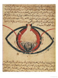 Anatomy of the Eye, from a Book on Eye Diseases Giclee Print by Al-Mutadibi 