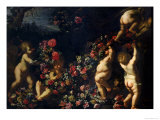 Putti Playing with Garlands of Flowers Giclee Print by Carlo Maratti