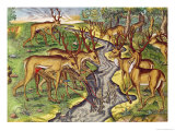 Stag Hunt, from 
