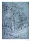 Study of Ash and Other Trees (Pencil on Paper, Heightened with White Chalk) Giclee Print by John Constable