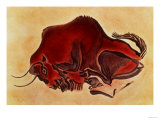 Rock Painting of a Bison, Late Magdalenian, 13000 BC Giclée-tryk Rock Painting of a Bison, Late Magdalenian, 13000 BC Giclée-tryk