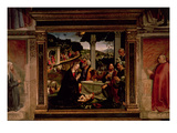 The Birth of Christ Giclee Print by Domenico Ghirlandaio