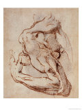 Study of an Arm (Ink) Lámina giclée por Michelangelo Buonarroti Study of an Arm (Ink) Lámina giclée por Michelangelo Buonarroti
