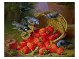 Still Life with Strawberries and Bluetits Giclee Print by Eloise Harriet Stannard