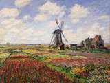 Tulip Fields with the Rijnsburg Windmill, 1886 Reproduction procédé giclée par Claude Monet