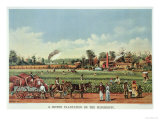 A Cotton Plantation on the Mississippi, the Harvest, 1884 Giclee Print by Currier & Ives 