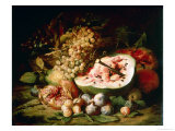 Still Life of Fruit on a Ledge Giclee Print by Frans Snyders