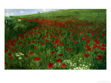 The Poppy Field, 1896 Stampa giclée di Paul von Szinyei-Merse