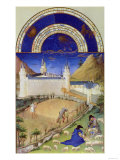 July: Harvesting and Sheep Shearing, by the Limbourg Brothers (Facsimile Manuscript) Giclee Print