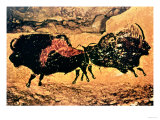 Rock Painting of Bison, circa 17000 BC Digitálně vytištěná reprodukce Rock Painting of Bison, circa 17000 BC Digitálně vytištěná reprodukce