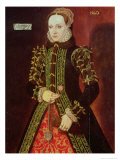 Elizabeth Fitzgerald, Countess of Lincoln, 1560 Giclee Print by Steven van der Meulen