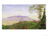 Tea Gathering in Mr. Hoelle's Plantation at Garoet, Java, circa 1875 (Board) Giclee Print by Marianne North