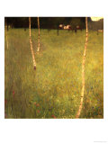 Farmhouse with Birch Trees (Bauenhaus Mit Birken) Giclee Print by Gustav Klimt