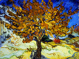 Silkkiäispuu (Mulberry Tree), noin 1889 Giclee-vedos tekijänä Vincent van Gogh Silkkiäispuu (Mulberry Tree), noin 1889 Giclee-vedos tekijänä Vincent van Gogh