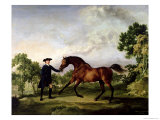 The Duke of Ancaster's Bay Stallion "Blank," Held by a Groom, circa 1762-5 Giclée-Druck von George Stubbs