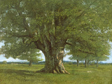 The Oak of Flagey, Called Vercingetorix Reproduction procédé giclée par Gustave Courbet