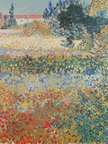 Garden in Bloom, Arles, c.1888 Wydruk giclee autor Vincent van Gogh