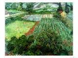 Field of Poppies, Saint-Remy, c.1889 Giclée-Druck von Vincent van Gogh